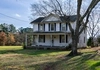 Revived Lawn