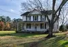 Revived Lawn